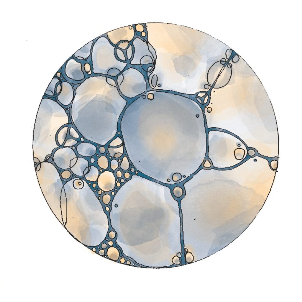 under the microscope